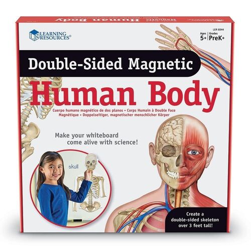 Set magnetic educational 17 piese Corpul Uman pentru copii 5+
