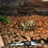 Incalzitor terariu, 14W, Reptile, MAKS, 28cm x 28 cm, Negru,