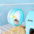 Roata Hamster, MAKS Hamster Whell- 11cm diametru, albastra, universala